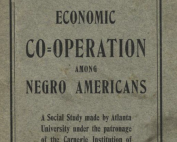 Economic Co-operation amoung Negro Americans