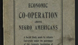 Economic Co-operation amoung Negro Americans