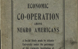 Economic Co-operation amoung Negro Americans