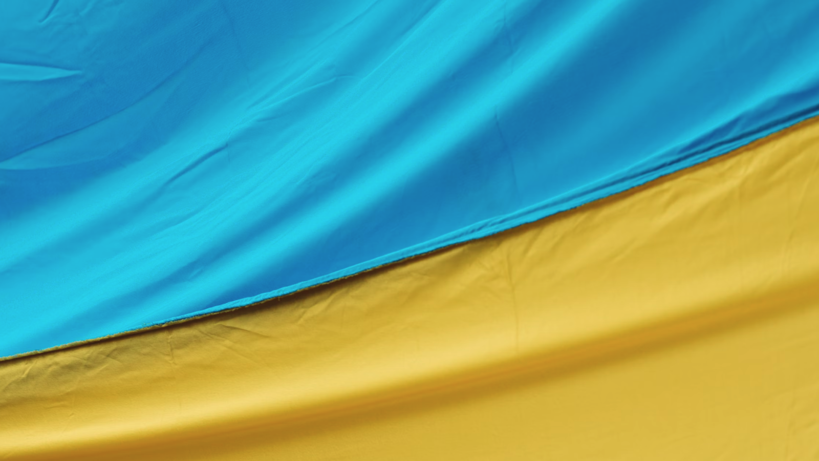 Featured image for International Women’s Day! CDF staff in Ukraine / BCCA newcomers program