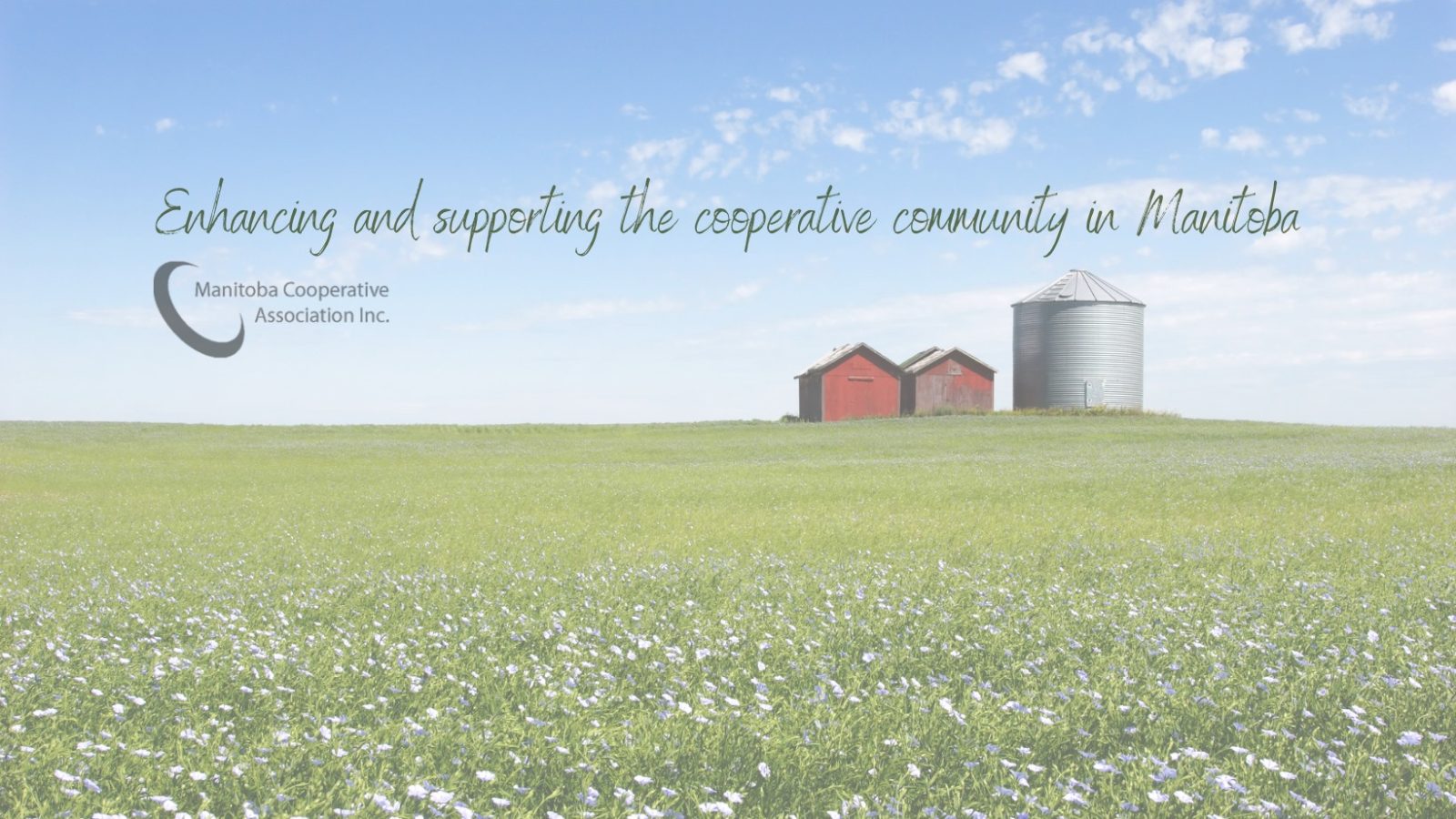 Featured image for Manitoba Cooperative Association