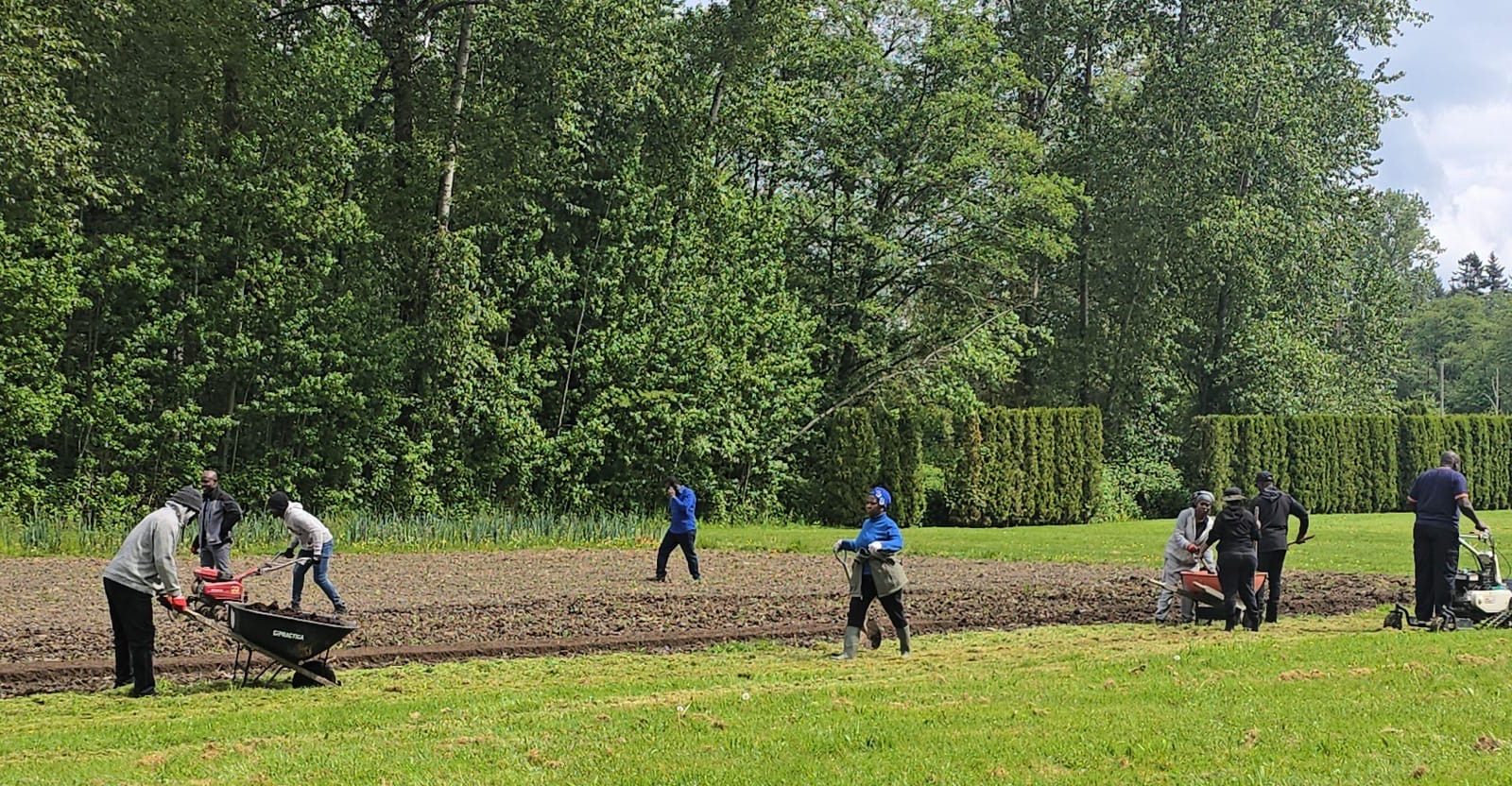 Featured image for African-Canadian Agricultural Producers Co-operative