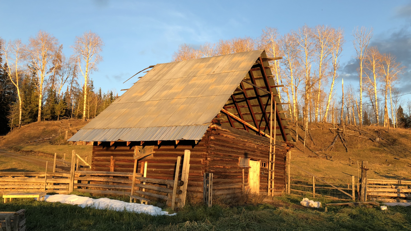 Featured image for Horse Lake Community Farm Co-op